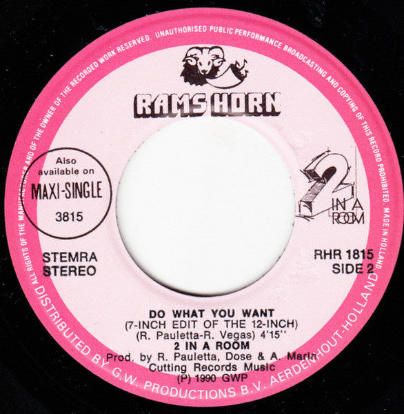 2 In A Room : Do What You Want (7",45 RPM,Single)