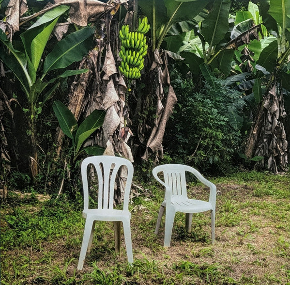 Bad Bunny : Debí Tirar Más Fotos (LP,Album,Reissue,Stereo)