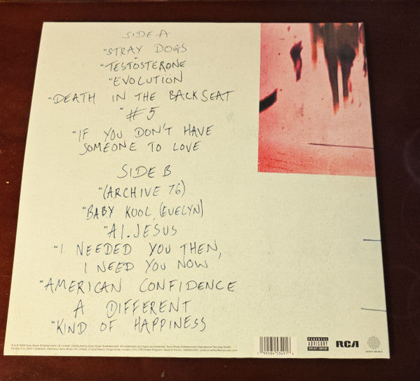 Nothing But Thieves : Stray Dogs (LP,Album,Stereo)