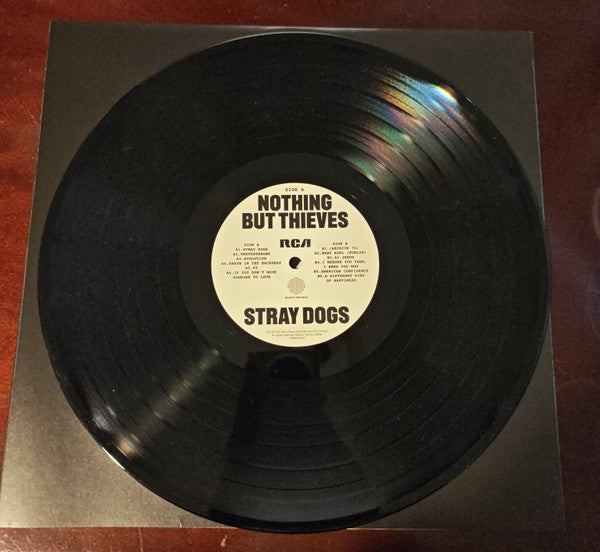 Nothing But Thieves : Stray Dogs (LP,Album,Stereo)