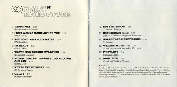 Flavium : 20 Years Of Blues Power (Album,Reissue)