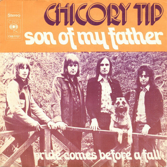 Chicory Tip : Son Of My Father (7", Single)