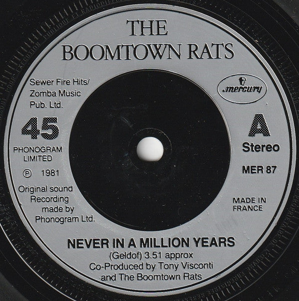Boomtown Rats, The : Never In A Million Years (7",45 RPM,Single)