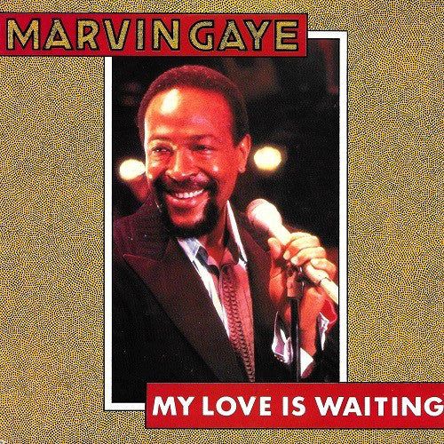 Marvin Gaye : My Love Is Waiting (7",Single,45 RPM)