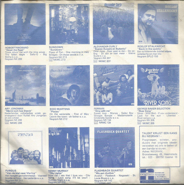 Hydra (12) : Holderdebolder (In Het Hooi) (7",45 RPM,Single)