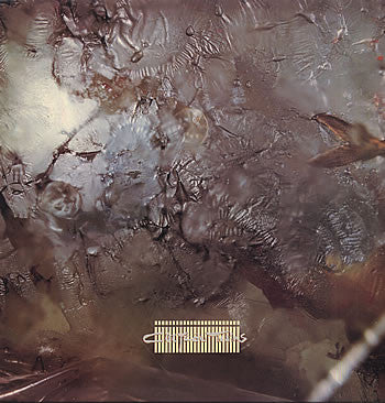 Cocteau Twins : Head Over Heels (LP,Album)