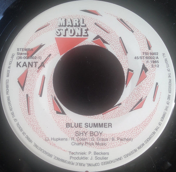Blue Summer : Shy Boy (7",45 RPM,Single,Stereo)