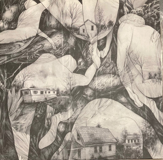 Mono (7) : Rays Of Darkness (LP,Album,Stereo)