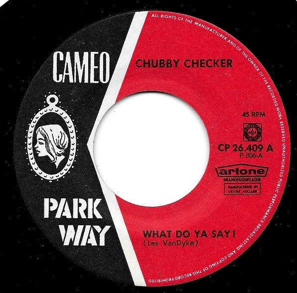 Chubby Checker : What Do You Say (7",45 RPM,Single)