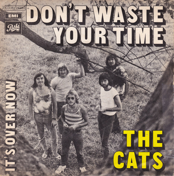 Cats, The : Don't Waste Your Time  (7",45 RPM,Single)