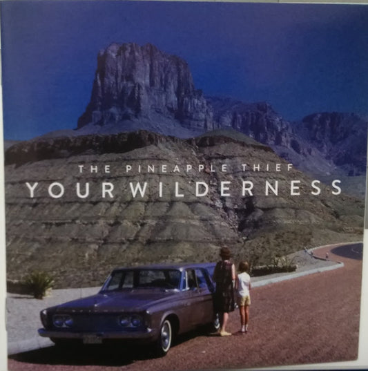 Pineapple Thief, The : Your Wilderness (Album)