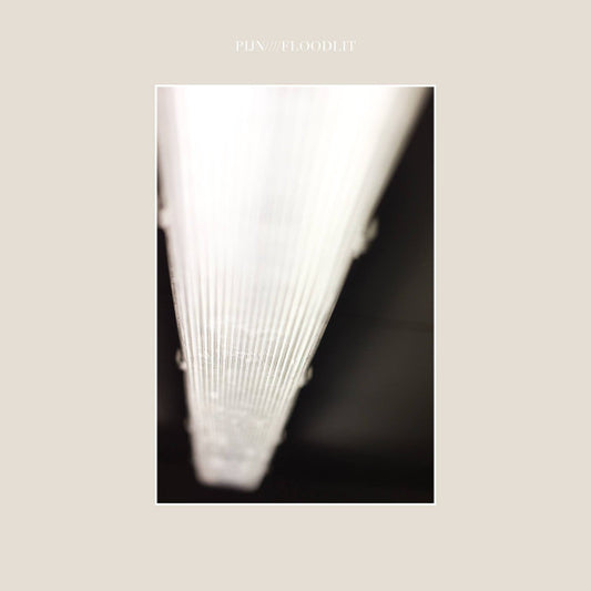 Pijn : Floodlit (LP,45 RPM,EP,Limited Edition)